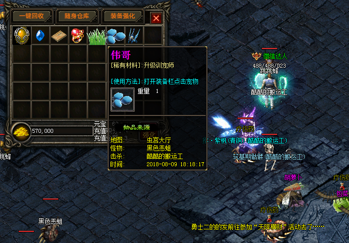 新开私服传奇宠物跟随模式