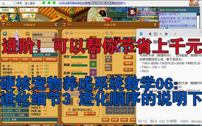 sf999找服网新手进阶之宠物进化